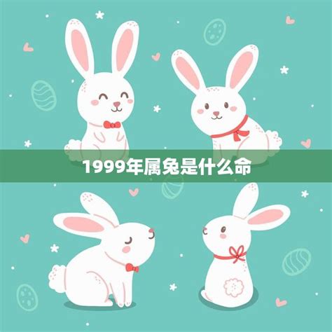 1999年是什么命|1999年属兔是什么命，99年出生五行属什么